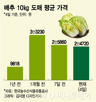 배춧값 안 떨어지나요… 대형마트 