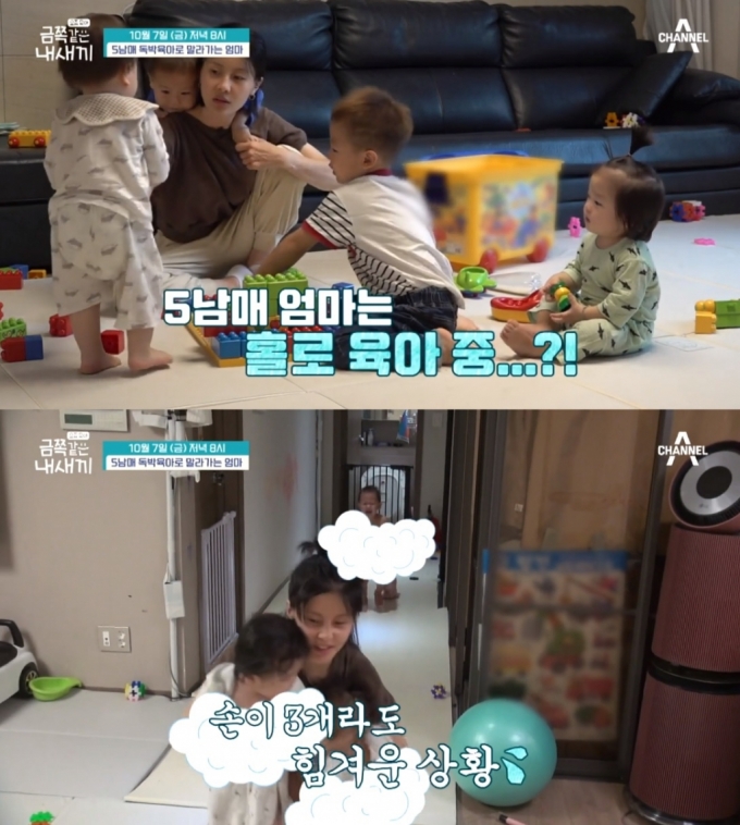 /사진=채널A 예능 '요즘 육아 - 금쪽같은 내 새끼'