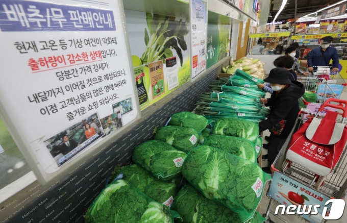 (서울=뉴스1) 장수영 기자 = 5일 서울 도봉구 하나로마트 창동점을 찾은 시민들이 농산물을 구매하고 있다. 2022.10.5/뉴스1  Copyright (C) 뉴스1. All rights reserved. 무단 전재 및 재배포 금지.