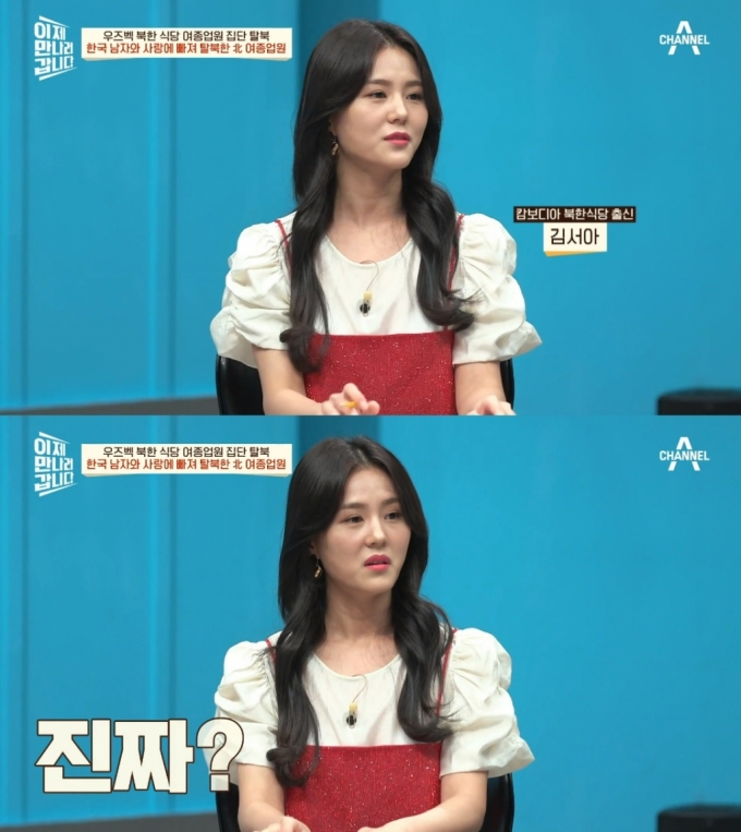탈북 유튜버' 김서아