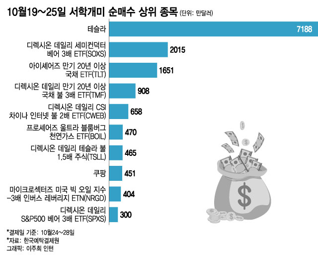 "테슬라야, 너한테 다 건다"…반도체·빅테크 다 팔고 '올인'[서학픽]