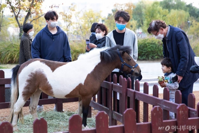 수원컨벤션센터 야외에서는 관람객을 위한 승마체험코너가 마련돼 인기를 끌었다. 