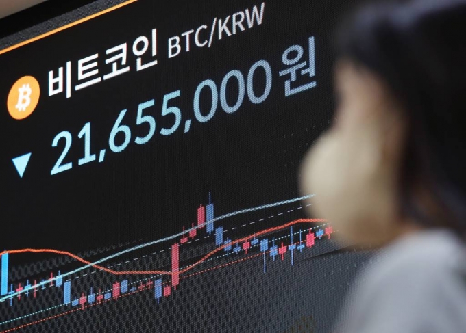 1년 투자수익률 -77%…'9000만원→2000만원' 쪽박난 비트코인 - 머니투데이 1년 투자수익률 -77%…'9000만원→2000만원' 쪽박난 비트코인 - 머니투데이