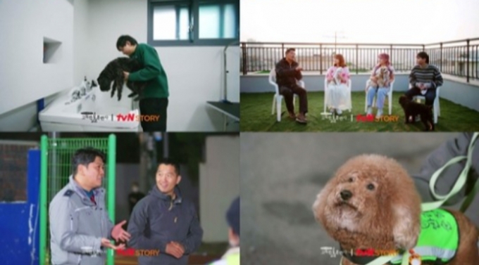 /사진=tvN STORY '고독한 훈련사'