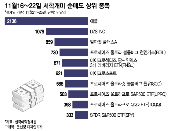 테슬라 저가 매수 지속, 반도체주 하락 베팅…美증시 전반엔 '신중'[서학픽]