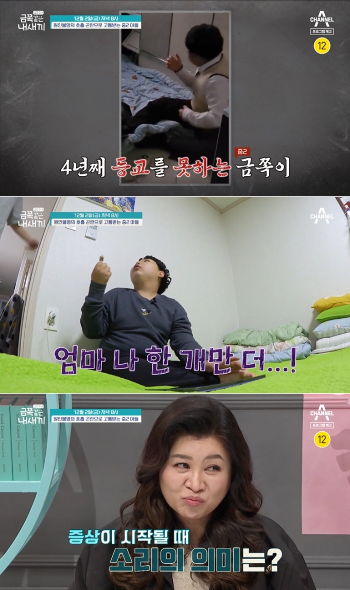 /사진=채널A '요즘 육아-금쪽같은 내새끼'