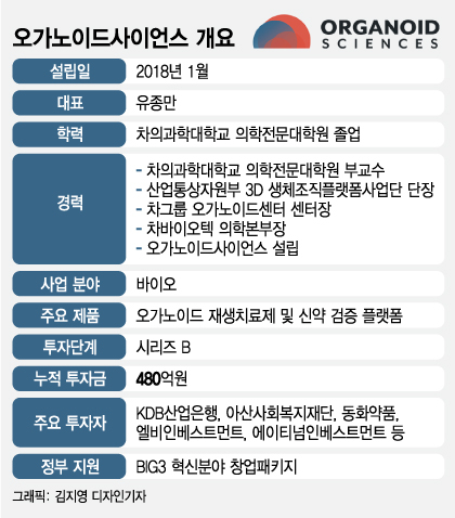 /그래픽=김지영 디자인기자