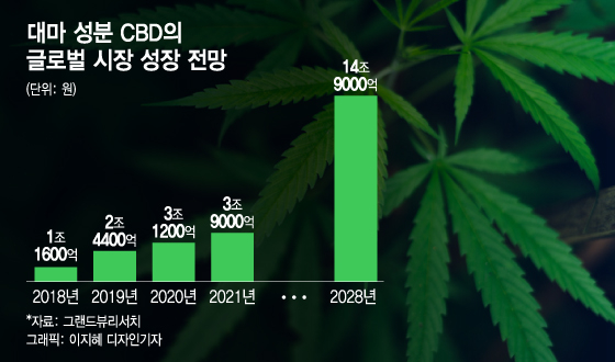 규제 완화에 의료용 '대마' 시장 꿈틀...수출로 이어질까