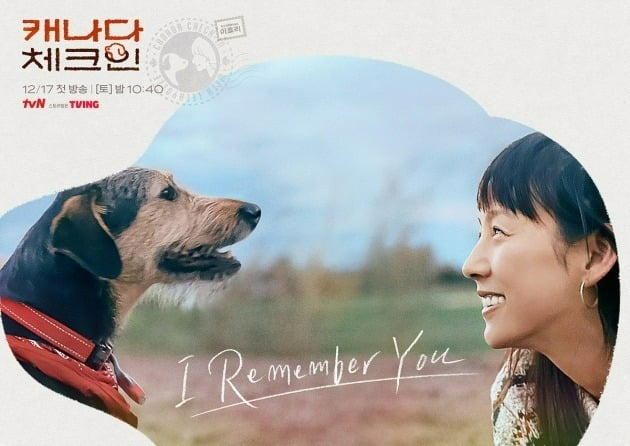 /사진=tvN '캐나다 체크인' 포스터