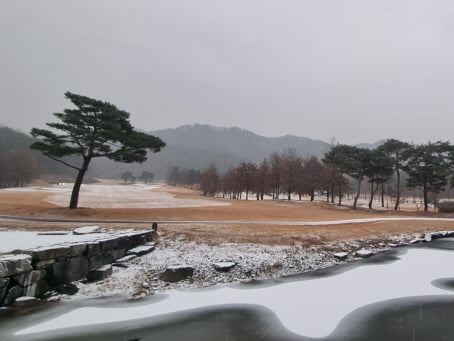 아리송한 골프룰...지금 몇 번? 물어도 대답해도 '2벌타' - 머니투데이 아리송한 골프룰...지금 몇 번? 물어도 대답해도 '2벌타' - 머니투데이