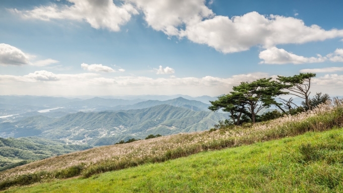 양평 100년의 숲. /사진제공=한화호텔앤드리조트