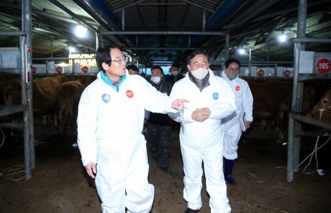 강진원 강진군수가 9일 설을 앞두고 ‘한우 전자경매 대목장’이 열린 강진 우시장을 찾았다./사진제공=강진군