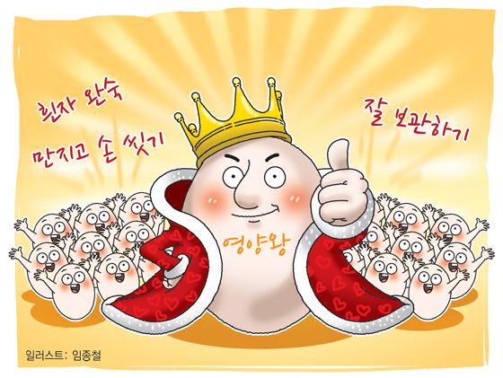 영양 왕' 계란, 득실 따져 더 건강하게 먹는 법 5가지 - 머니투데이 영양 왕' 계란, 득실 따져 더 건강하게 먹는 법 5가지 - 머니투데이