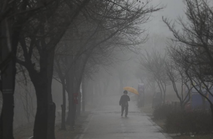 내일 날씨] 전국 흐리고 서울·경기 밤부터 눈…미세먼지 해소 - 머니투데이