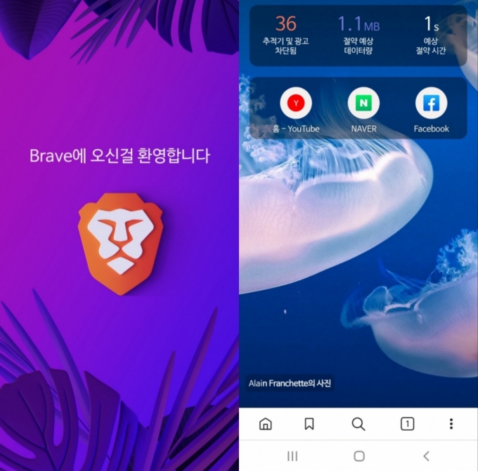 /사진=&#039;브레이브&#039;앱 화면 갈무리