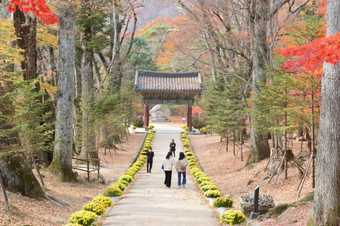 [합천=뉴시스] 김기진 기자 =경남 합천 가야산 해인사 일주문. 2022.11.03.