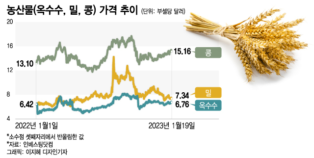 '90% 폭등'의 추억…"지금 또 살까" 농산물 베팅 말리는 이유는?