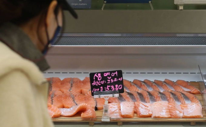 [서울=뉴시스] 권창회 기자 = 15일 오후 서울 시내 마트에서 노르웨이산 연어를 판매하고 있다. 2023.01.15.