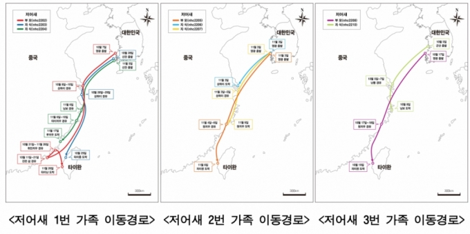 천연기념물 저어새, 월동경로 위치추적 놀라운 결과 "부모·자식이…"