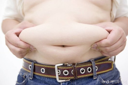 주사만으로 체중 20% '쏙'…新비만약 연말 국내 도입?