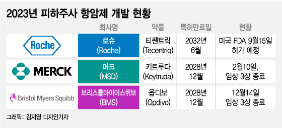 면역항암제도 인슐린처럼 복부에 주사?… SC제형, 곧 나온다