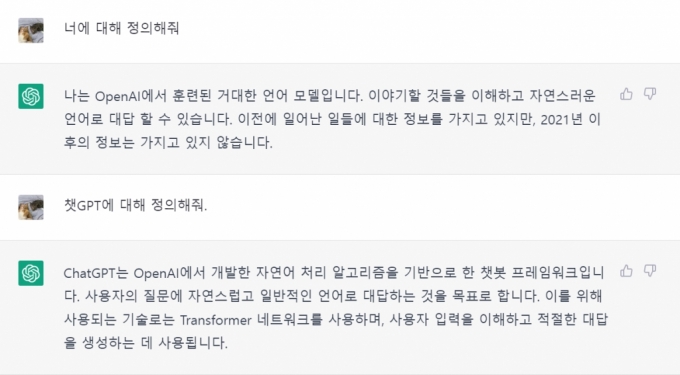 챗GPT에 자신에 대해 설명해 달라고 질문한 결과. /사진=챗GPT 갈무리