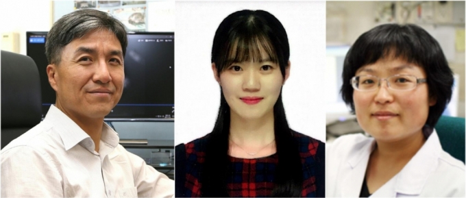왼쪽부터 조광현 카이스트(KAIST·한국과학기술원) 바이오및뇌공학과 교수, 김남희 박사생, 황채영 박사. 이들은 폐 암세포를 치료 가능한 상피 세포로 되돌리는 연구를 입증했다. / 사진=카이스트(KAIST·한국과학기술원)
