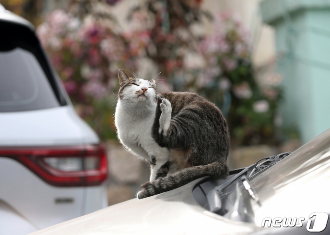 /사진=뉴스1