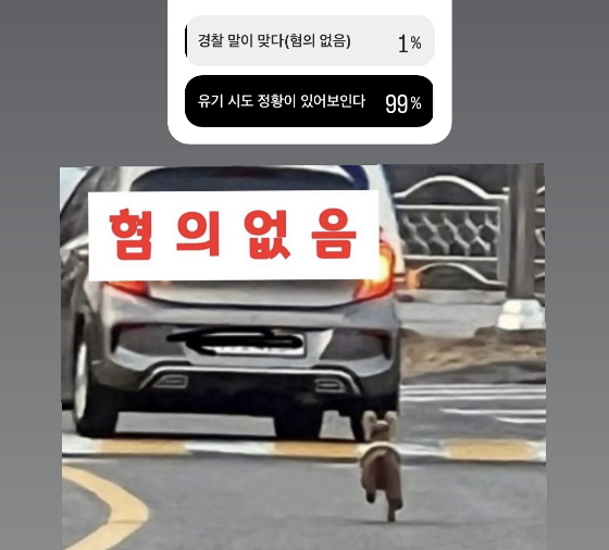 기자의 SNS에서, 독자 901명을 대상으로 조사한 결과 &#039;유기 시도 정황이 있어보인다&#039;는 응답이 99%로, 압도적으로 많았다./사진=남형도 기자