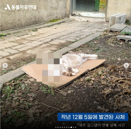 /사진=동물자유연대