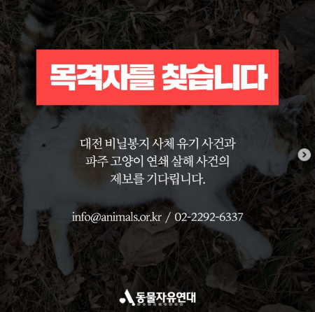 /사진=동물자유연대