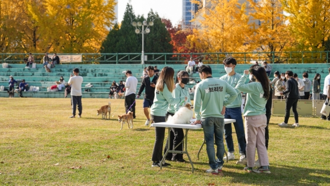 반려견 교육 플랫폼 '브리딩', 블루포인트·더벤처스서 투자유치