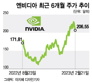 4개월간 2배 오른 뒤 4일간 10% 하락…Ai 수혜주 엔비디아 실적 발표[오미주] - 머니투데이