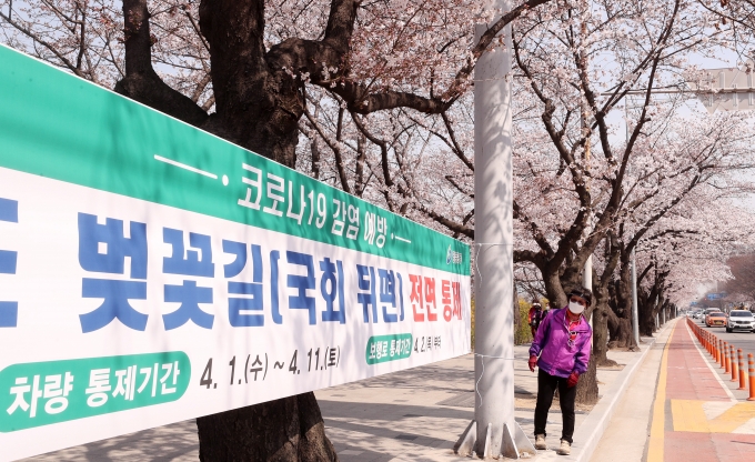 ▲지난 2020년 코로나19 확산으로 여의도 벚꽃길(국회 뒤편)이 전면 통제됐다./사진=머니투데이DB