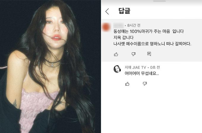 그룹 와썹 출신 지애(왼쪽)이 8일 인스타그램 스토리를 통해 공개한 악플./사진=지애 인스타그램