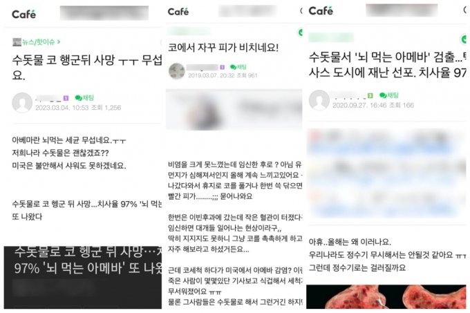 수돗물로 코 행군뒤 사망 기사를 본 네티즌들 반응. /사진=네이버 카페 갈무리