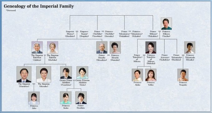 /사진=일본 궁내청 홈페이지. 일본 왕실 가계도