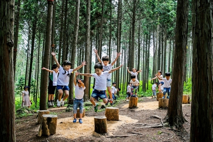  장흥군 편백숲 우드랜드./사진제공=장흥군.