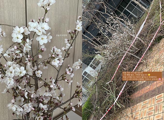그룹 티아라 출신 소연이 23일 인스타그램 스토리를 통해 공개한 사진들./사진=소연 인스타그램