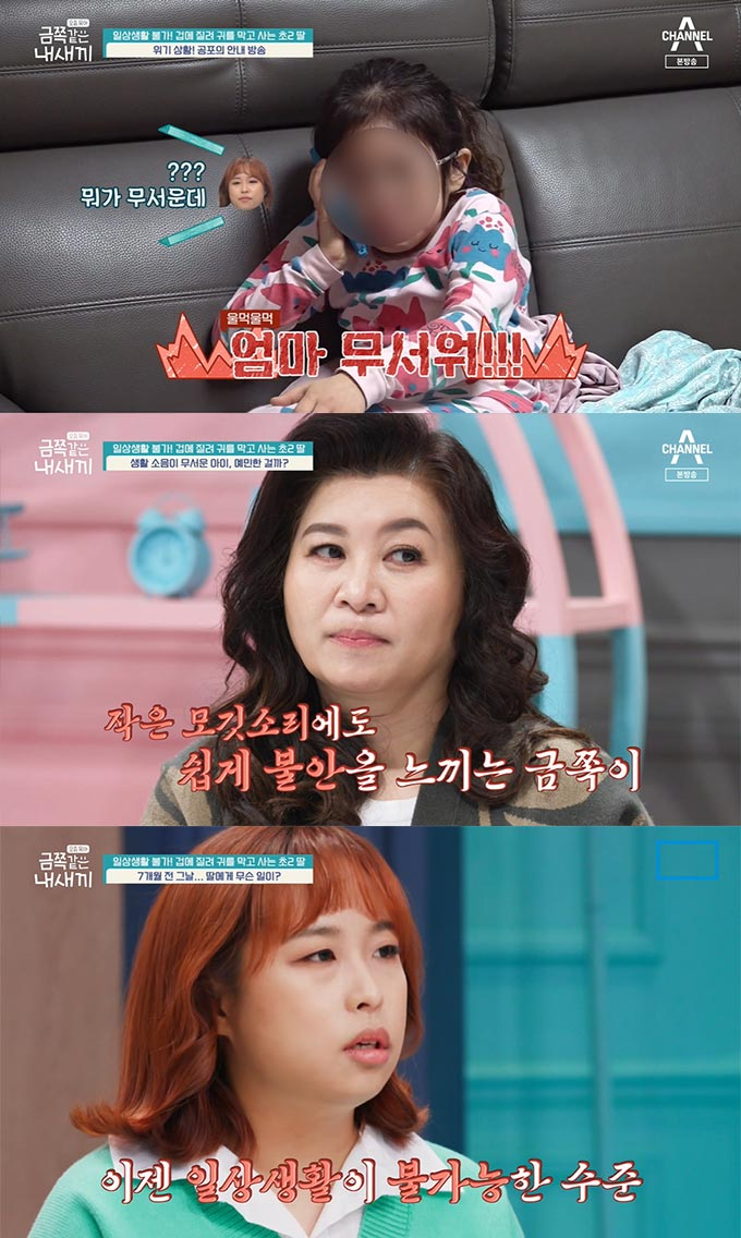 /사진=채널A '요즘 육아-금쪽 같은 내새끼' 방송 화면