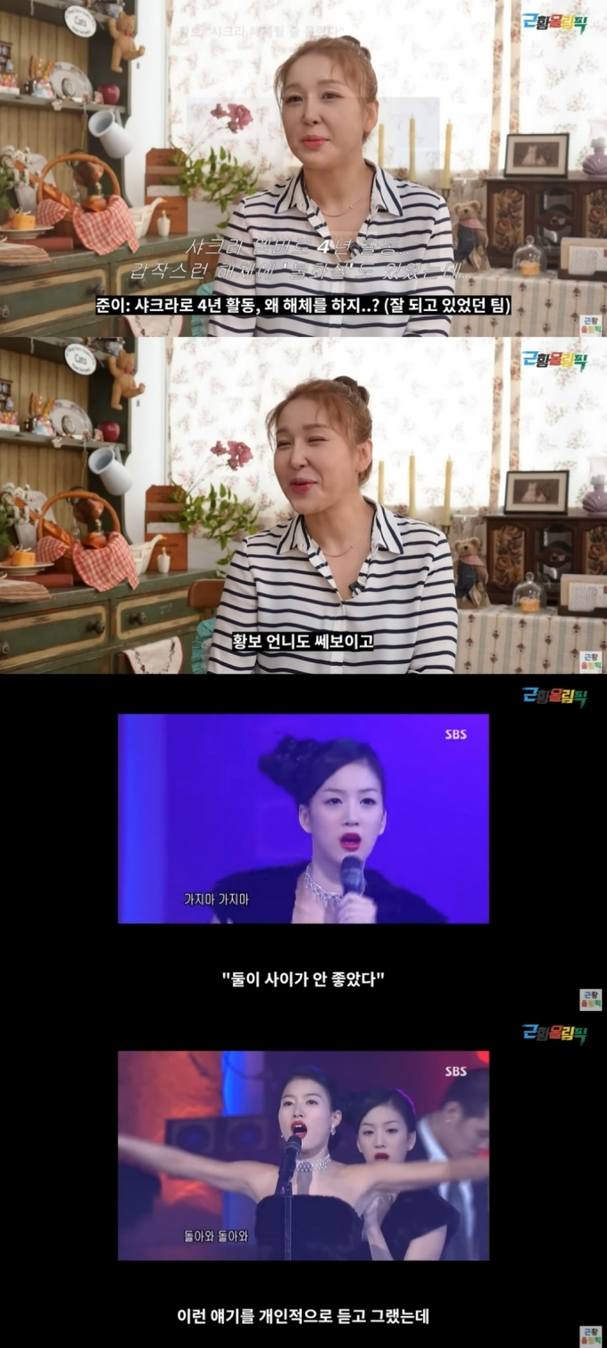 /사진=유튜브 채널 '근황올림픽' 캡처