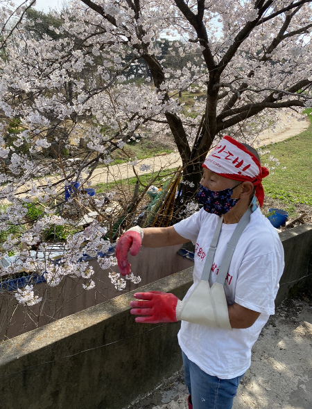 벚꽃이 핀줄도 모르고 백구들만 바라보는 이를 위해, 봄이 왔다고, 또 봄이 올 거라고 홀로 사진을 남겨주고 싶었다./사진=남형도 기자