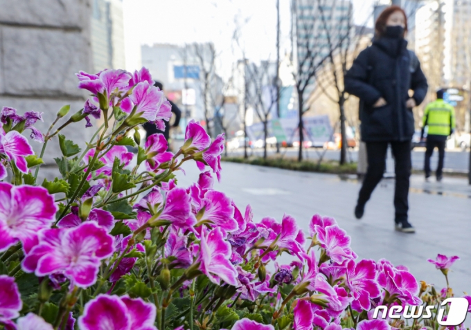 내일 날씨] 꽃샘추위 찾아와…수도권 미세먼지 '나쁨' - 머니투데이