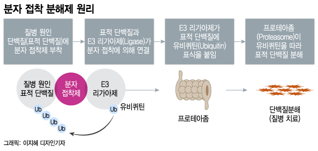 질병 원인 없애는 '분자접착' 신약 3조 딜 성사… 대웅제약 투자 조명