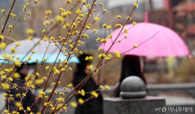 서울 종로구 청계천. /사진=김휘선 기자 hwijpg@