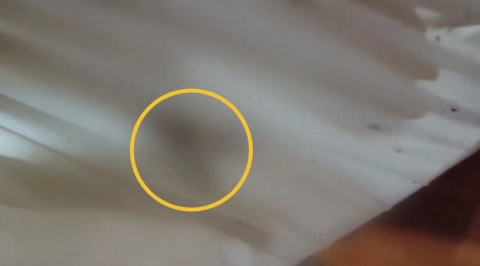 서울의 한 모텔에서 진드기와 빈대가 발견됐다는 한 투숙객의 주장이 제기됐다. /사진=보배드림