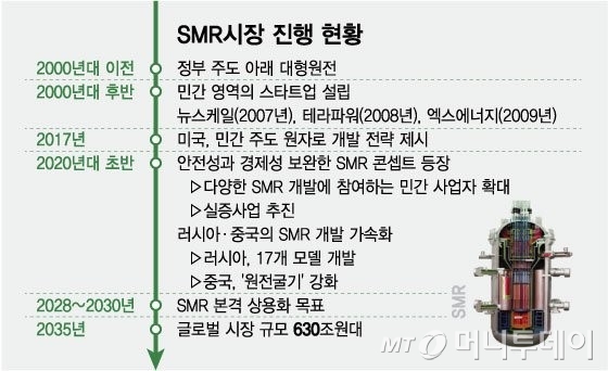 소형모듈원자로(SMR) 시장 현황. / 그래픽=최헌정 디자인기자