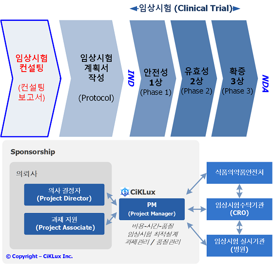 &#039;임상시험 단계 및 B2B 비즈니스서비스 지원사업 컨설팅 범위&#039;(사진 위쪽)와 &#039;사이클룩스 과제관리 서비스&#039;/사진제공=사이클룩스