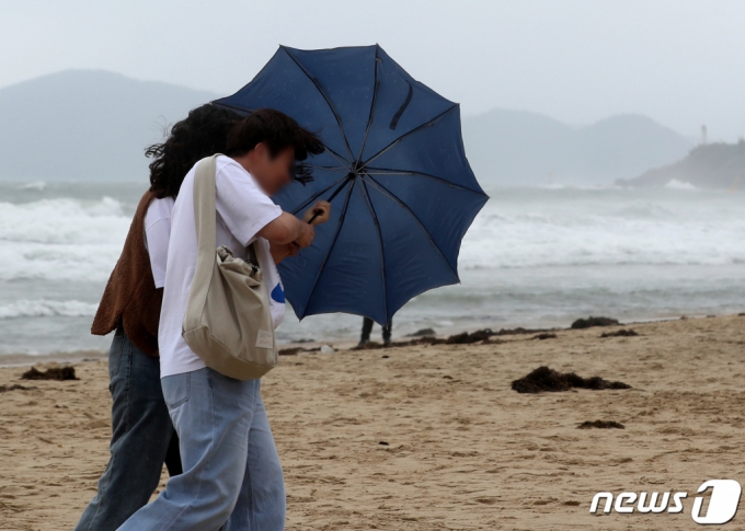 내일 날씨] 연휴 마지막날 제주·남부엔 비…오후부터 차차 맑음 - 머니투데이