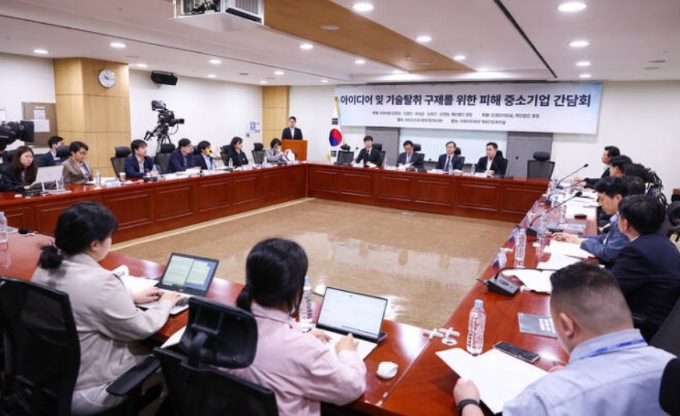9일 국회의원회관에서 열린 아이디어 및 기술탈취 구제를 위한 피해 중소기업 간담회 현장. /사진제공=경청